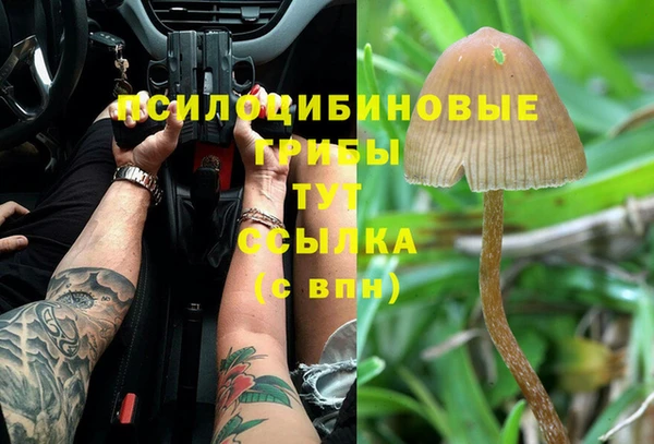 гидропоника Иннополис